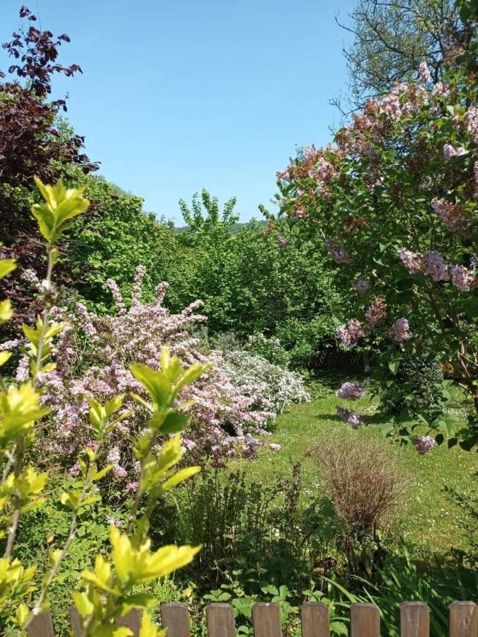 L'Escale Arquaise, La Maison Au Jardin Fleuri A 5 Min De Dieppe Arques-la-Bataille Exterior photo
